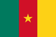 Cameroon logo